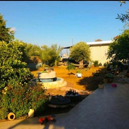 בחצר של טובה Appartement Hazon Buitenkant foto