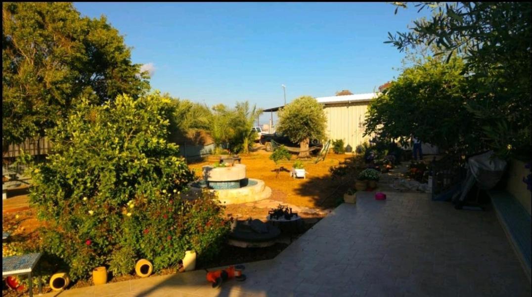 בחצר של טובה Appartement Hazon Buitenkant foto